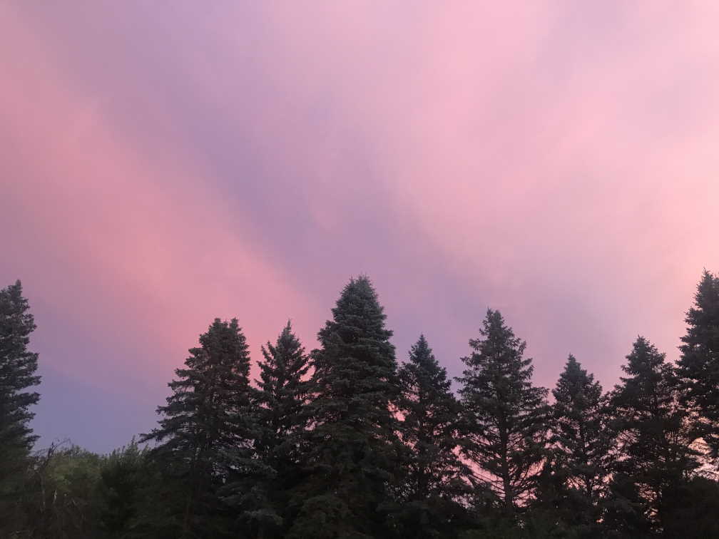 A glowing pink sky with pine trees.